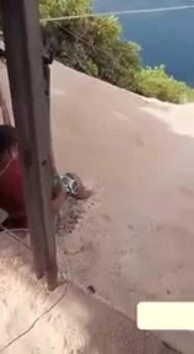 I think I do enjoy something