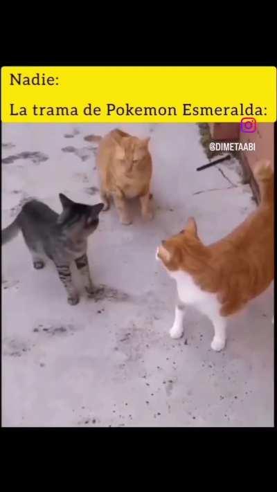 BeelcitosMemes - Video #2976