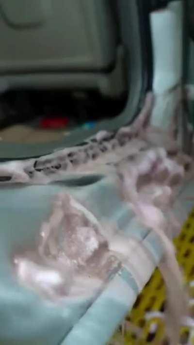 who would stay here all day watching this?