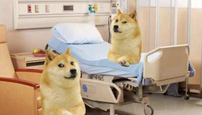 Le True Meaning of life has arrived