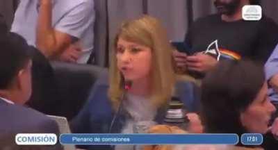 Una diputada se queja de que el DNU de milei va a permitir que defiendas tu casa o negocio de los ladrones 