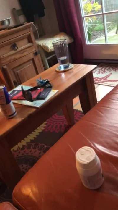 Sis loves sucking my cock.