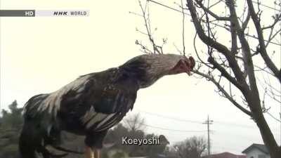 Батарейки сели