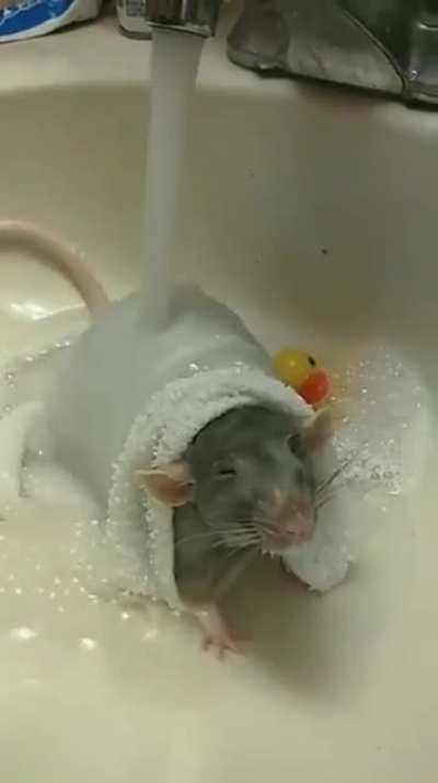 Bathtime bliss complete with rubber ducky