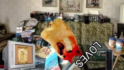 Doge Gets Put On The FBI'S Most Wanted List