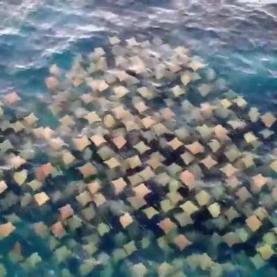 On our way to Arlington...