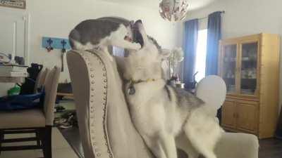 My husband says this is ok!?!?