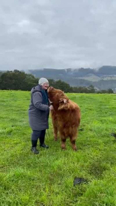 Hard to say who is enjoying this more