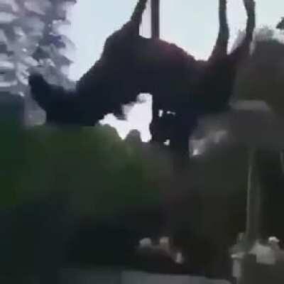 Muchos upvotes para seguir subiendo :D, no sé si le dará risa a Dylan pero lo intento porque lo quiero owo