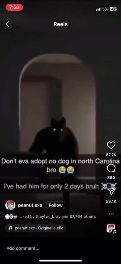 Awl hell nawl jit😭