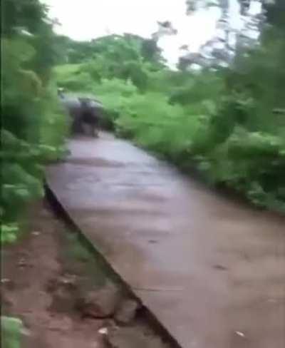 Deixo para vcs darem os nomes das duas gangues.