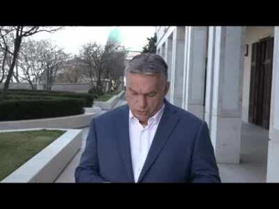 Hahó fészbúkosok.