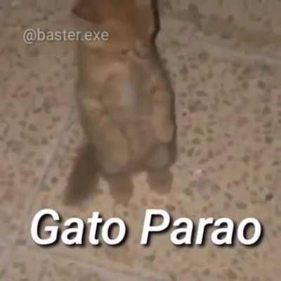 Reviviendo traumas panafrescos