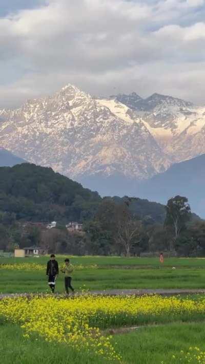 🔥 Kangra Valley in the Western Himalayas, India
