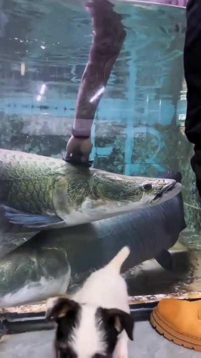 Destroyed in seconds 