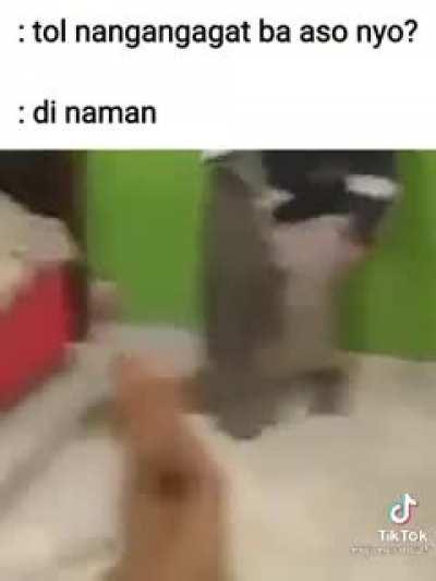 Di nman