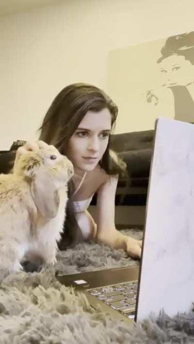 “Why are you working when you could be petting me”