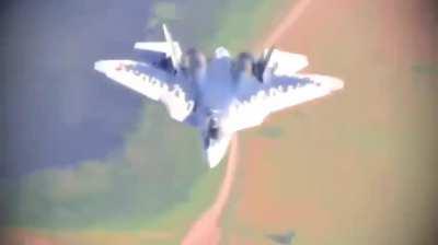 3000 Leaked Military documents