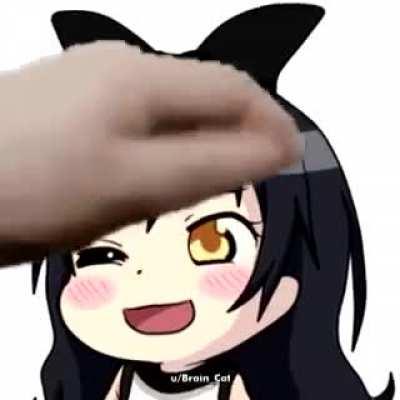 Pet the Blake