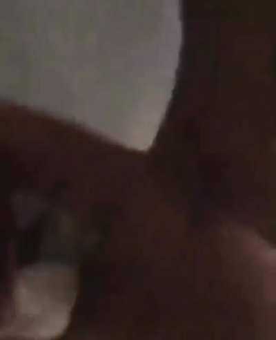 @Leothegemini_ @i.am.annamarie