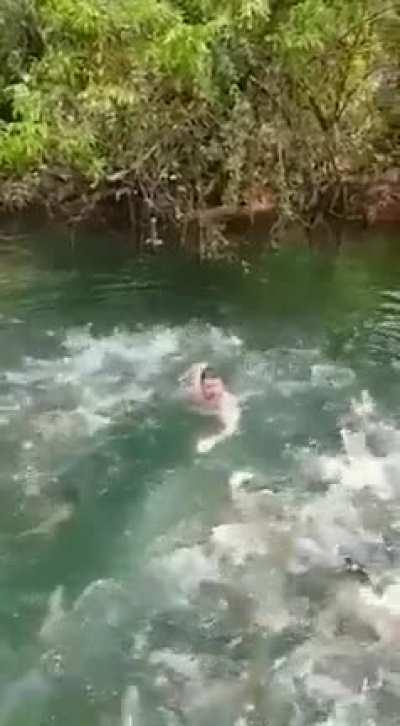 man is being attacked by a horde of piranhas