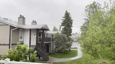 Rain in Alberta. Bringing back the green.