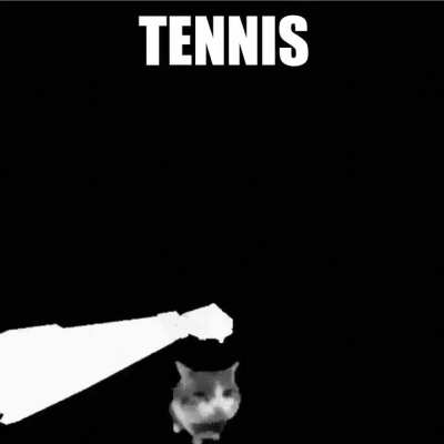 Roses are red, I would like to go to Venice