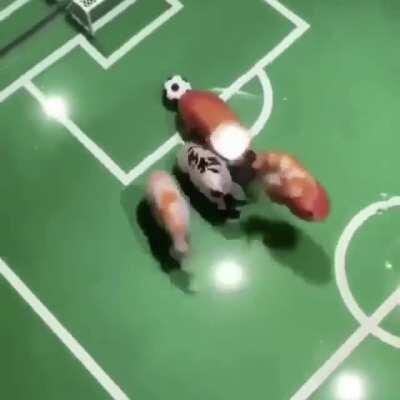 Fish soccer