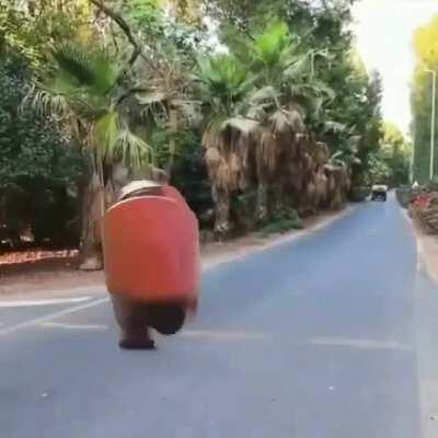 Amogus in real life!!!!😳😲😲💯💯 (Gone SEXUAL????😱😱)