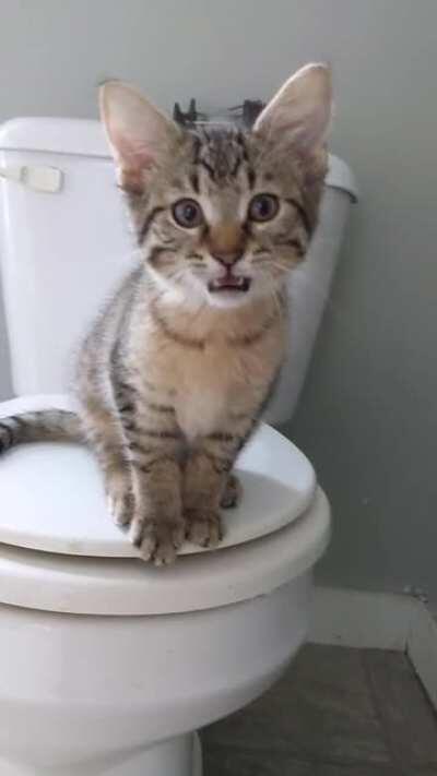 Paxton (back again) has a little something to say!