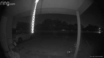 caught this on my ring a while back. wtf? haven't seen anything like it since