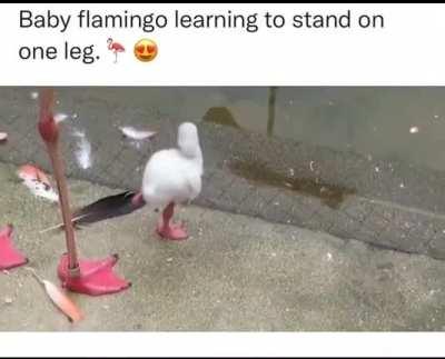 Reminder 💡we all start somewhere 🌱🪴🌳