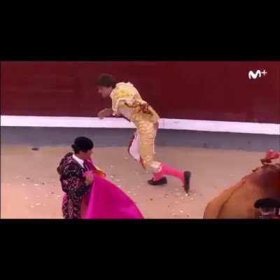 Playing around with the bull