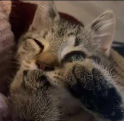 He is just a little baby..