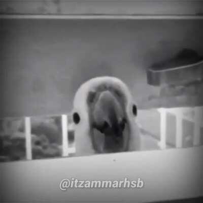 Top dez cenas mais tristes dos animes