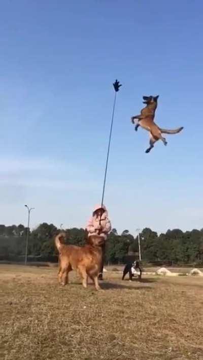 That's one jumpy boi