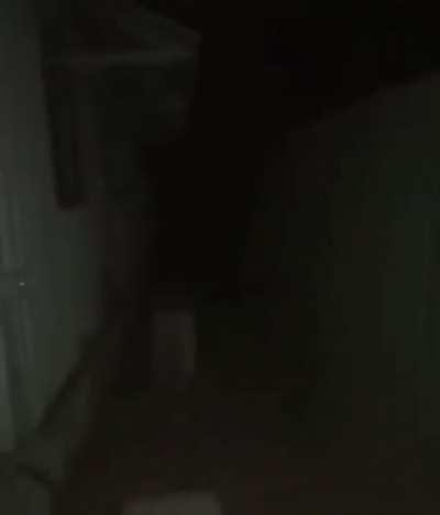 The Rise of Kangaroo 🦘🥺