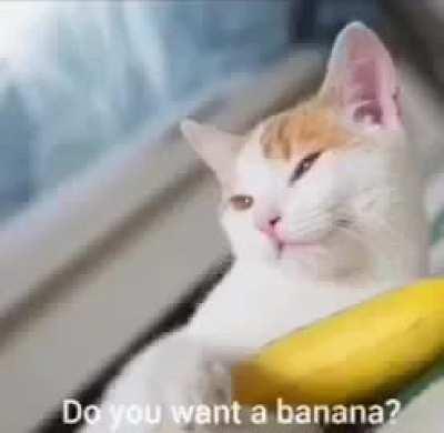 BAnAnA MaN