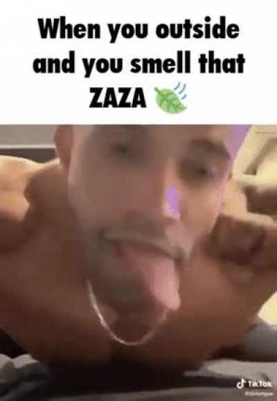 WHEN YOU OUTSIDE AND YOU SMELL THAT ZAZA