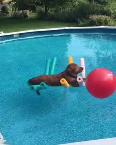 A normal day at the pool... RELAX