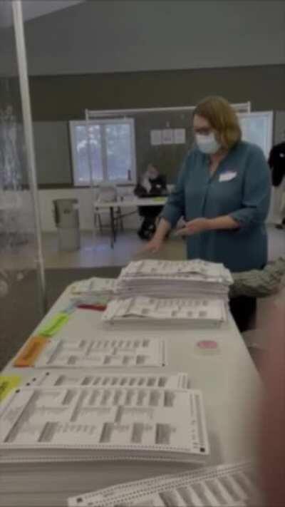 Michigan Secretary of State official asking to count illegal ballots with same signatures during audit (repost due to audio)
