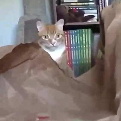 oldie but goldie.... the definition of the 