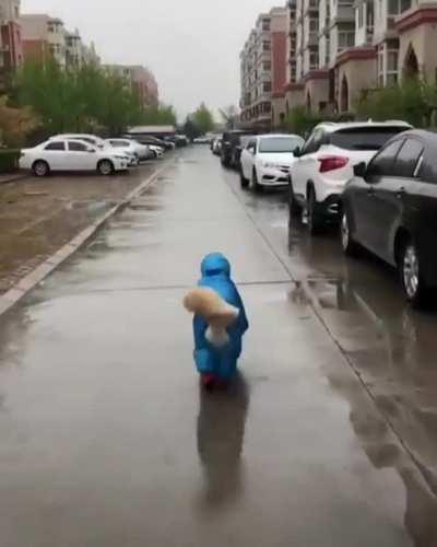 Water (resistant) Dog!