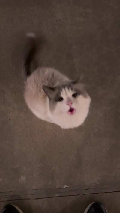 He didn’t like the “told you so” when he found out just how freezing and windy it was