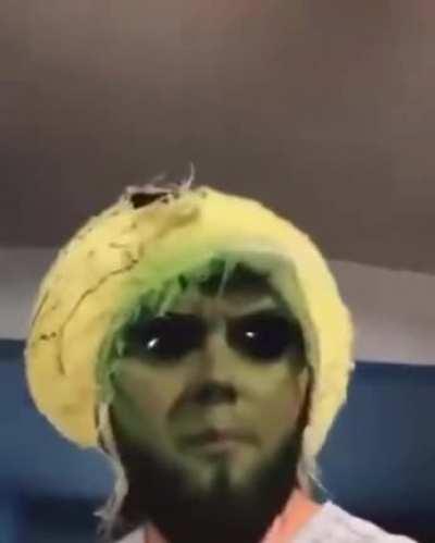 Just some aliens going about their daily business.