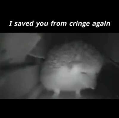 Just a night lords story