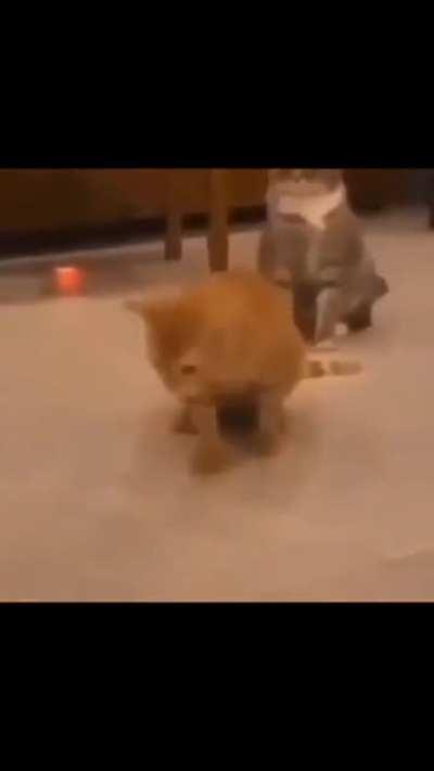 My friend unironically posted this on our messegner board.