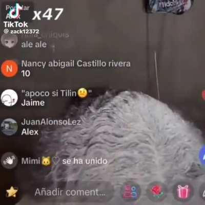 I can see the resemblance