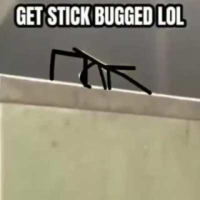Get stick bugged?