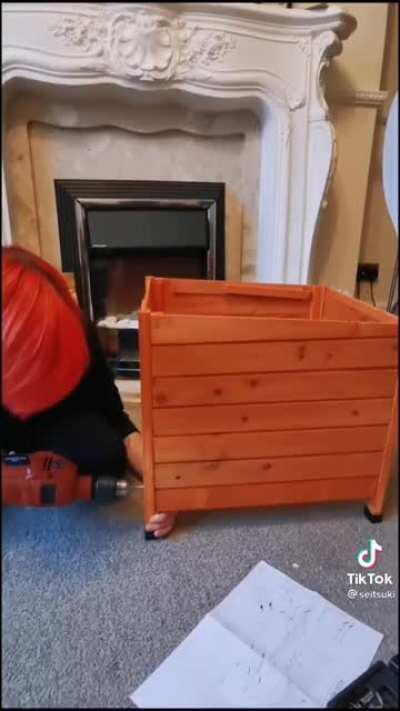 Person helping a stray cat.